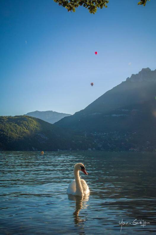 Lpa Appartement Annecy