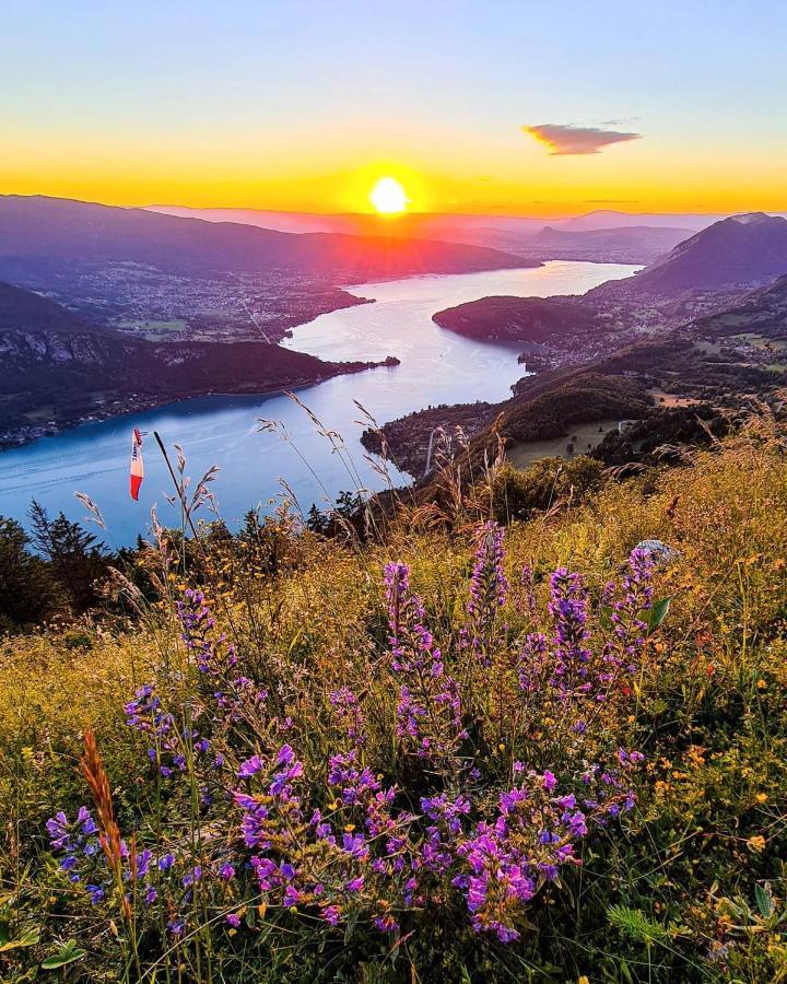 Appartement Lpa Annecy